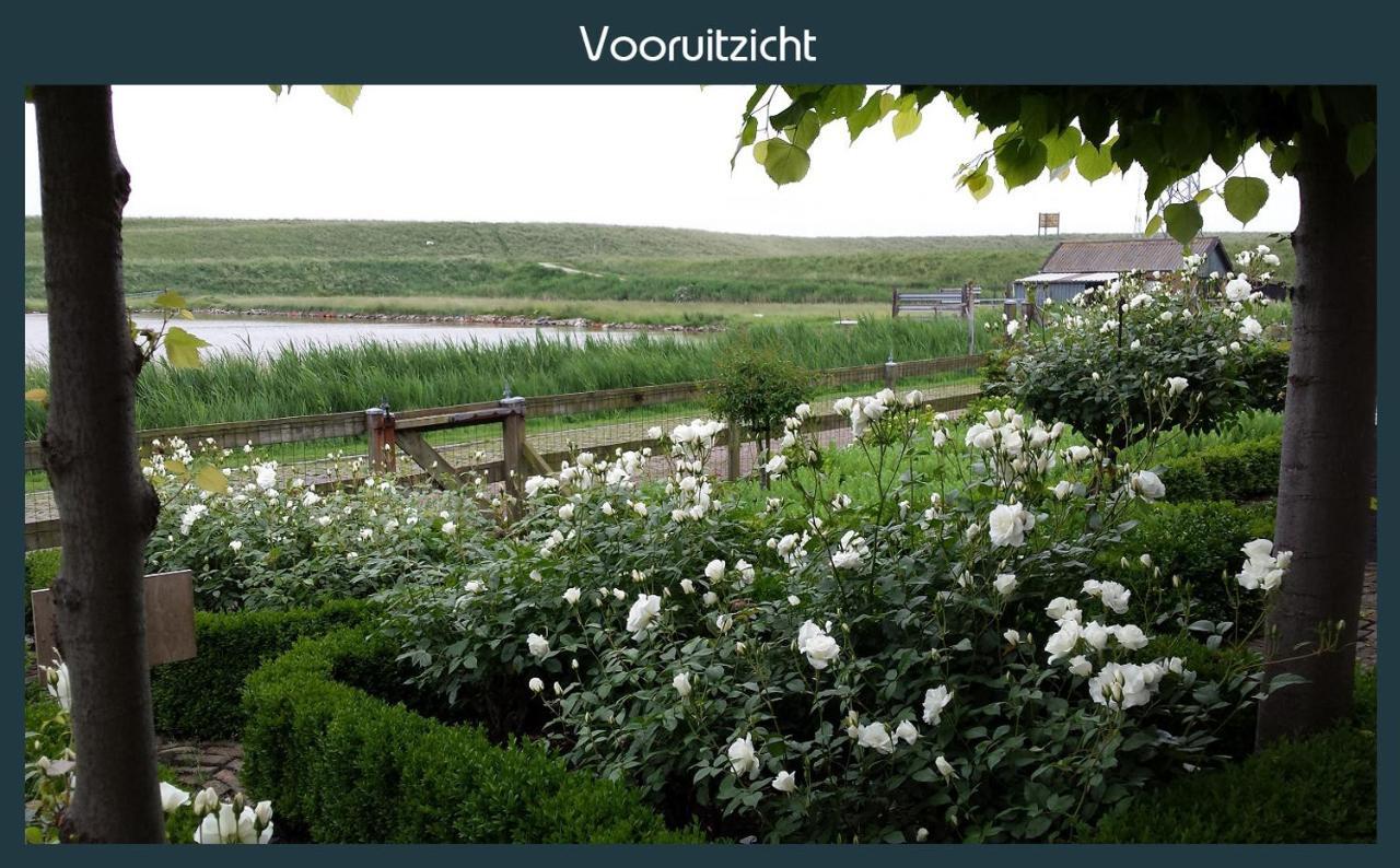 Vakantiewoning Deltahof Ellewoutsdijk Ngoại thất bức ảnh