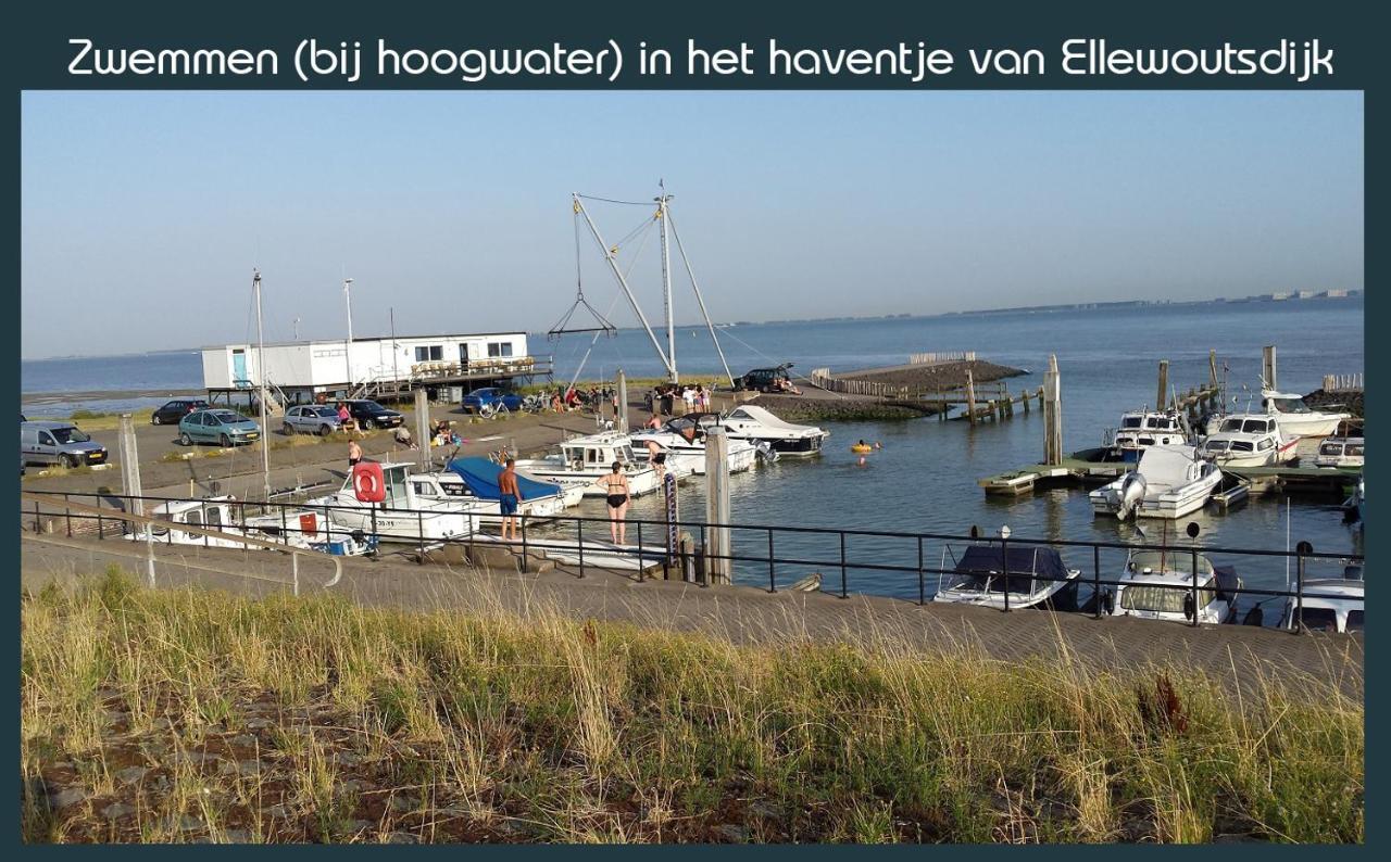 Vakantiewoning Deltahof Ellewoutsdijk Ngoại thất bức ảnh