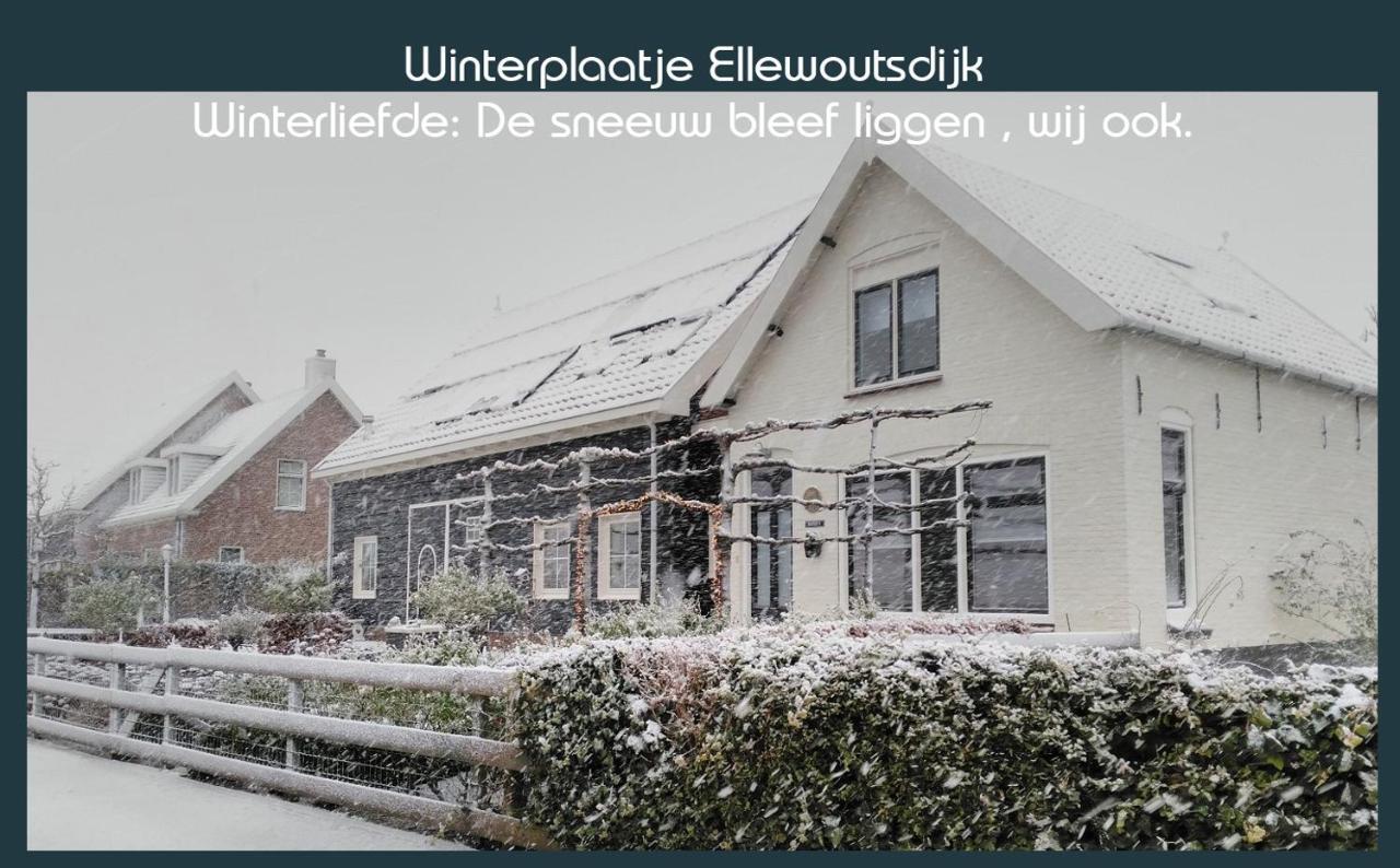 Vakantiewoning Deltahof Ellewoutsdijk Ngoại thất bức ảnh